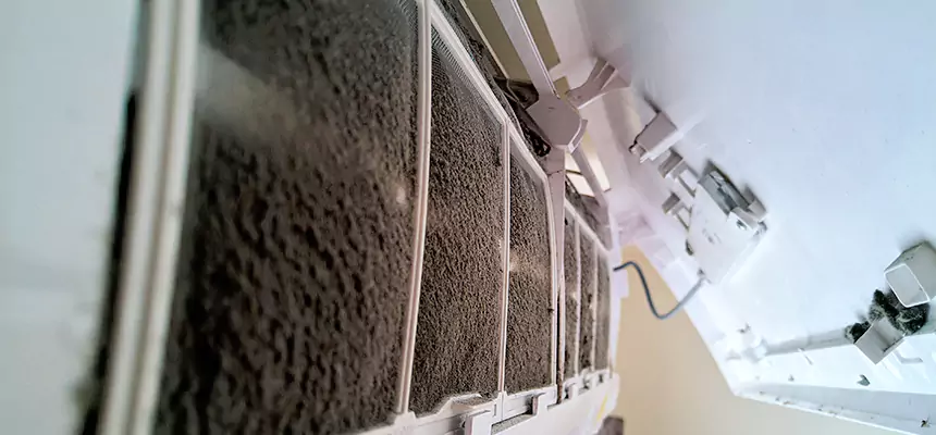 Preventive Air Duct Bacteria Removal in Coon Rapids