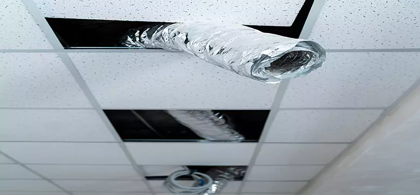 Affordable HVAC Sanitizing After Pest Removal in Coon Rapids