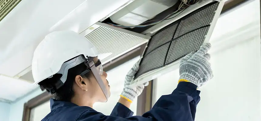 Our Lint Trap Cleaning Service Services in Coon Rapids, MN