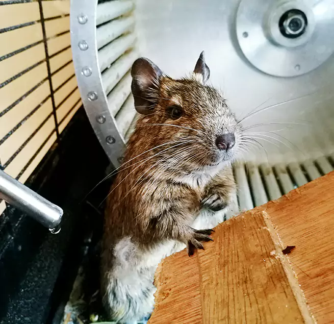 Why Homeowners & Businesses Trust Us Coon Rapids, MN