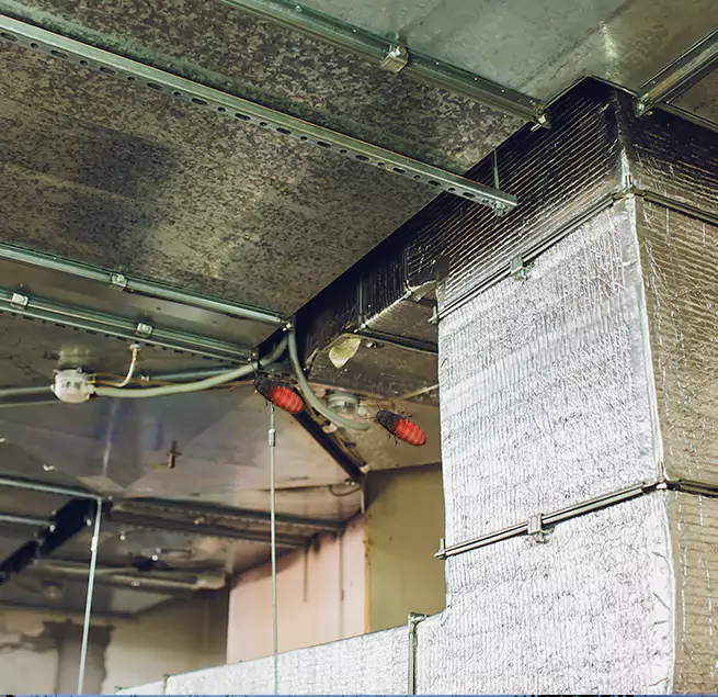 Why Homeowners & Businesses Trust Us Coon Rapids, MN?