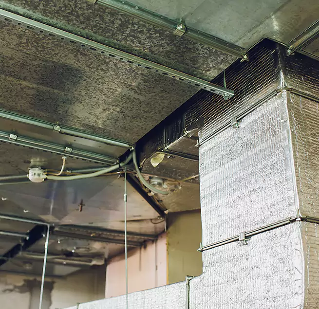 Why Homeowners & Businesses Trust Us in Coon Rapids, MN?